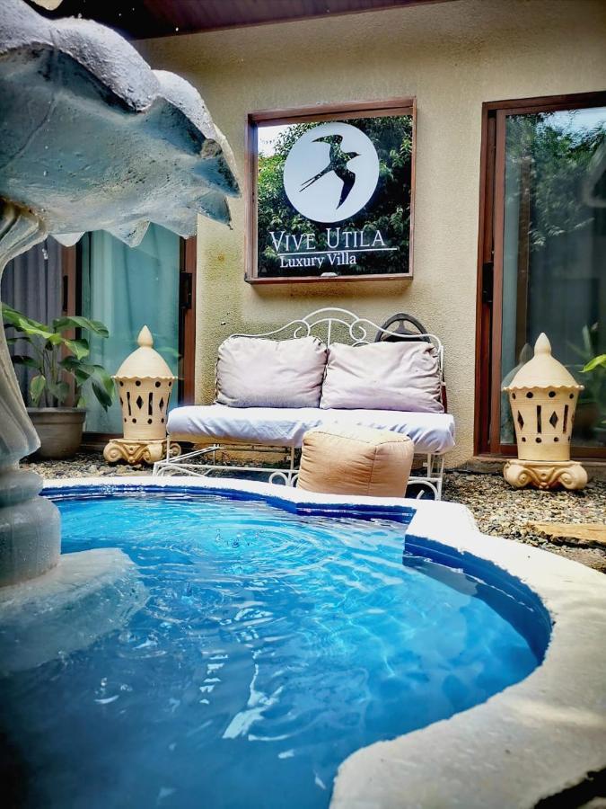 Vive Utila - Bed & Breakfast Экстерьер фото