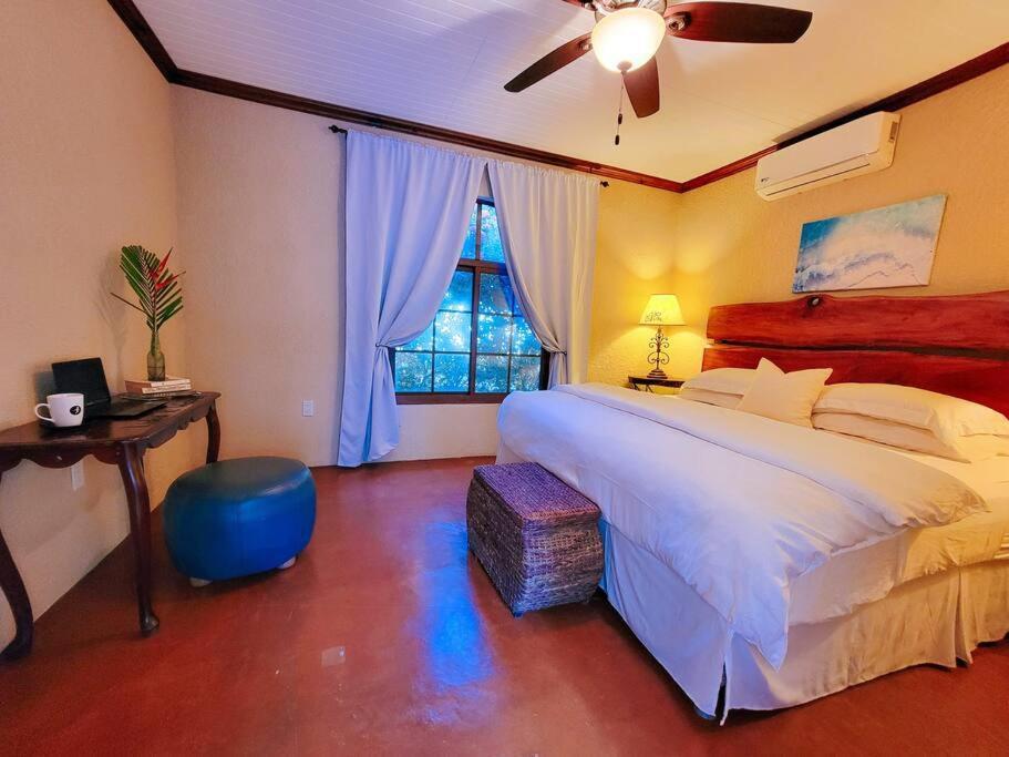 Vive Utila - Bed & Breakfast Экстерьер фото